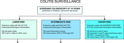 BSG Executive Summary Cancer risk factors Duration and extent of disease, primary sclerosing cholangitis, family history of CRC and endoscopic and histological appearances at colonoscopy Screening