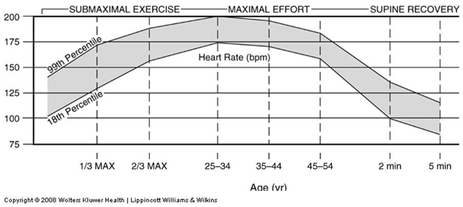 Heart Rate Exercise Predicted Maximal HR: 220 age Risk Factor Obesity (BMI) An excessive amount of body fat Recently considered a