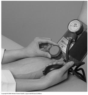 Risk Factor Blood Pressure Resting Measurement Procedures: The patient should be seated with the legs uncrossed The BP measurement should be done in a relaxed, comfortable setting White coat syndrome