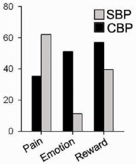 persistence and amplification of pain SBP =