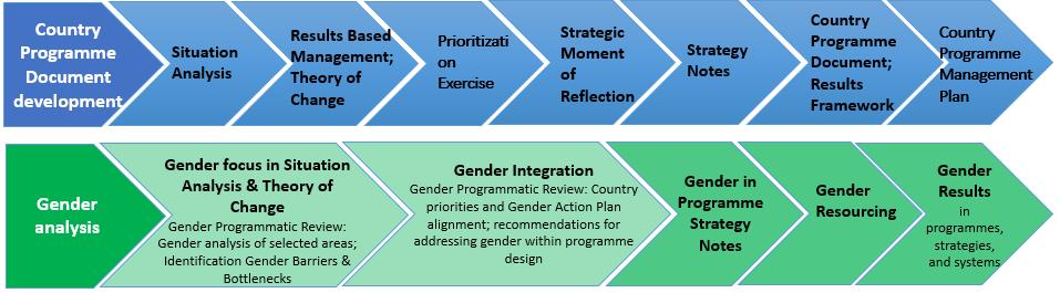 Annex B Programme Excellence and Gender Programming at Scale: Key Elements of Gender Analysis