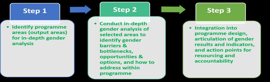 offices, a Gender Review is mandatory at least once through the programme cycle.