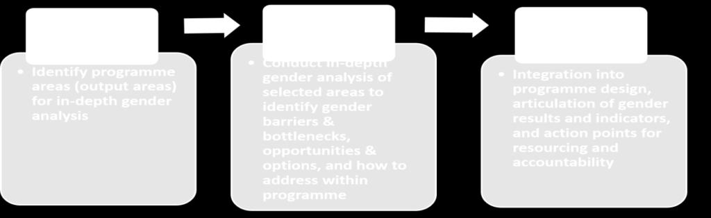 determine how to strengthen gender programming, in alignment with country priorities, the