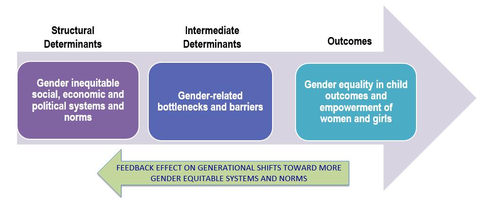 GAP Causal Framework The GAP Causal Framework is used to identify how and where gender inequalities affect child outcomes, in order to develop programmatic responses and determine means for tracking