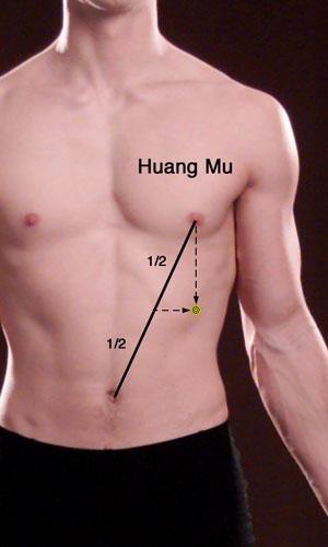 Huangmu (Ex-CA) Collecting (Mu) point of the membranes Tonifies Qi and Blood Moves Qi and Blood Dissolves masses