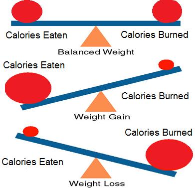 Weight balance: Calories Eaten might also include calories from drinks Help with Losing Weight To achieve weight loss: The energy you burn from being physically active must be greater than the energy