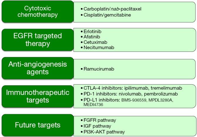 Review of current and potential future therapies for squamous cell carcinoma