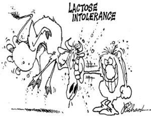 Examples of Disaccharides Lactose