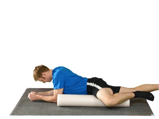 Quadriceps Release (Foam Roller) Position yourself on foam roller as shown Roll up and down on the foam roller to release the muscles on the front of the thigh Hip Adductor Release (Foam