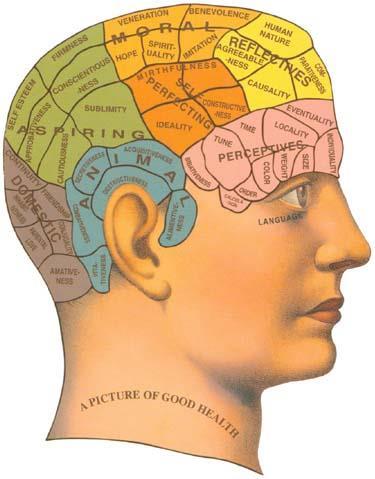 Prescientific Psychology Phrenology Method in which the personality traits of a