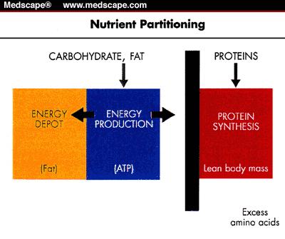 Page 9 of 18 Principles of nutrient partitioning (adaptive metabolism).