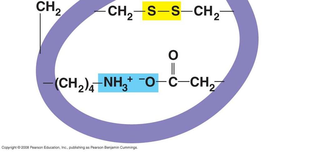 interactions Hydrogen bond