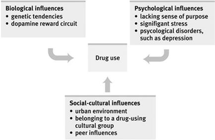 Influences on Drug Use The use of drugs is based on biological, psychological, and social-cultural influences. Influence for Drug Prevention and Treatment 1. Education about the long-term costs 2.