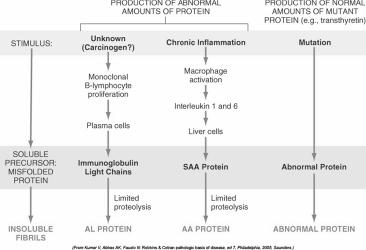 Chemical Nature of Amyloid Amyloid associated Proteolytic fragment of SAA SAA is an acute phase protein Systemic inflammation Aβ Proteolytic fragment of APP Associated with cerebral amyloid