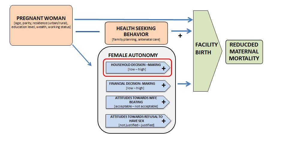 to have sex (not justified versus justified). The framework hypothesizes that greater autonomy - indicated by a positive sign - relative to each variable group is predictive of facility delivery.