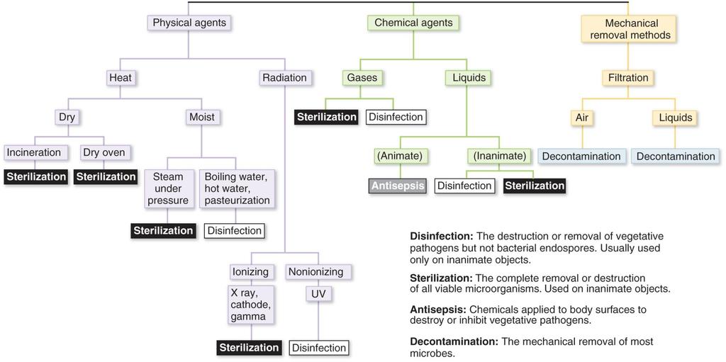 Microbial Control Methods The role of