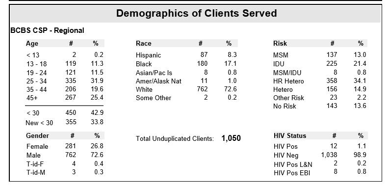 Section 6 Demographics of Clients Served This section displays the demographics of clients served (see below for an explanation of each category).