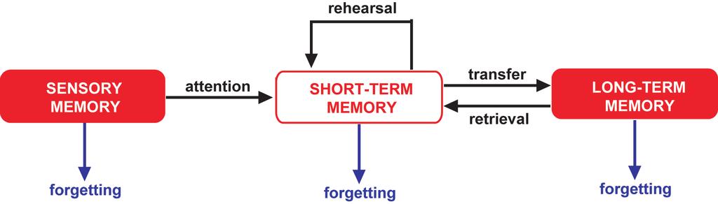 QUESTIONS AND ANSWERS 13) Outline the main features of Atkinson and Shiffren s multi-store memory model. Use sporting examples to illustrate your answer. Figure Q6.
