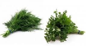 Dill and Parsley Dill stimulates gastric juices, bile production and aids peristalsis Has anti-microbial properties including being an antifungal Can act as a diuretic and flush out toxins and has