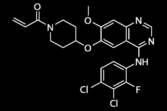 Poziotinib 100X More Potent than other EGFR Inhibitors in Pre-Clinical Studies Benzo-pyrrole (ATP mimetic) Osimertinib Reactive Group Poziotinib Reactive Group Quinazoline core Terminal