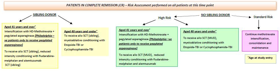 If patient is in CR at end of phase 2 treatment: Risk assessment is performed This