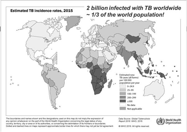 TB Epidemiology, worldwide Africa has the highest incidence rate (275 per 100,000 population, v. ~ 3.0 U.S.) Some regions of Africa have rates over 500!