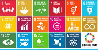 11 Indicators on Thai Health and the Sustainable Development Goals The Post -2015 Development Agenda began upon completion of the monitoring and implementation of the Millennium Development Goals