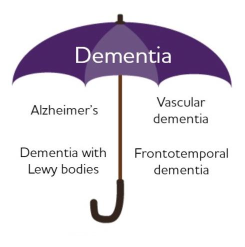 1. ALZHEIMER S AND DEMENTIA The terms dementia and Alzheimer s are often used interchangeably. While they are related, there are distinct differences between the two.