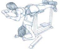 repetitions: 3 sets of 15 repetitions Exercises: Leg Press Hamstring Curl Wall Slides Roman Chair Chair Squat Calf Raises or Calf Raise machine Hip