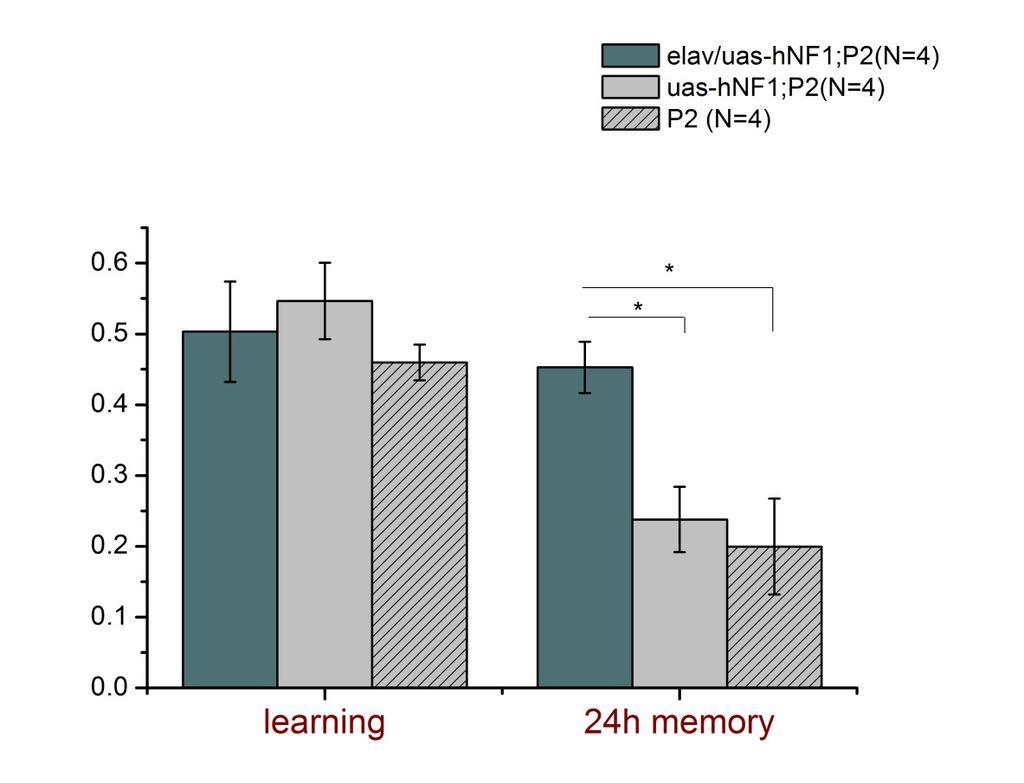 01) from parental lines, and Alk/uas NF1; E1/E2 restores 24h memory performance.