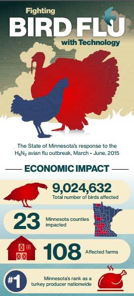 Executive Summary The avian flu had a severe impact on Minnesota, which is the number one turkey producer in the nation.