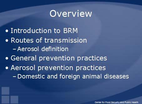 The basic outline of each presentation is: Brief introduction to BRM (2 minutes) Routes of transmission (5 minutes) Definition General prevention practices (10 minutes) Route specific prevention