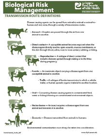Direct Contact Transmission Control: This document summarizes the focus area of managing diseases spread by direct contact on beef and dairy