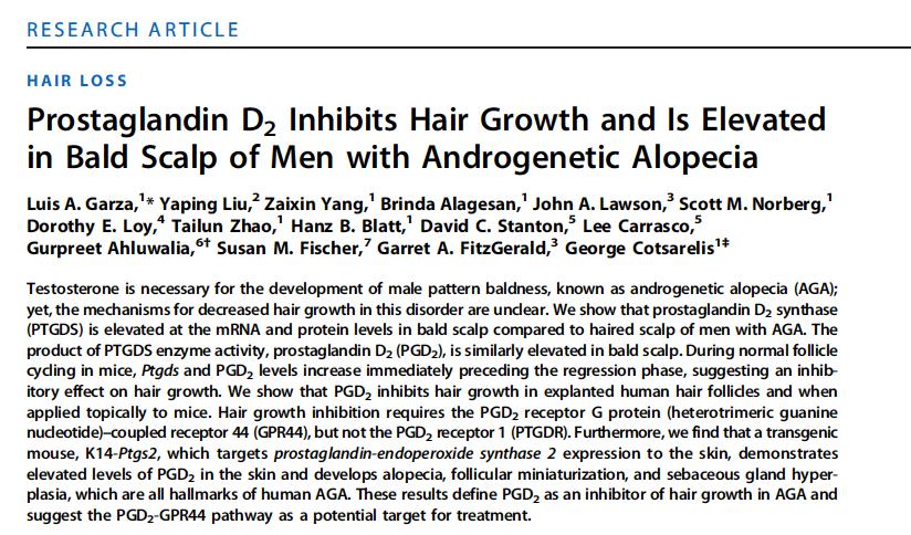 5x higher amount of PGD 2 in bald spots than where hair growing* High PGD 2 PGD 2 Produc4on in Bald Scalp as