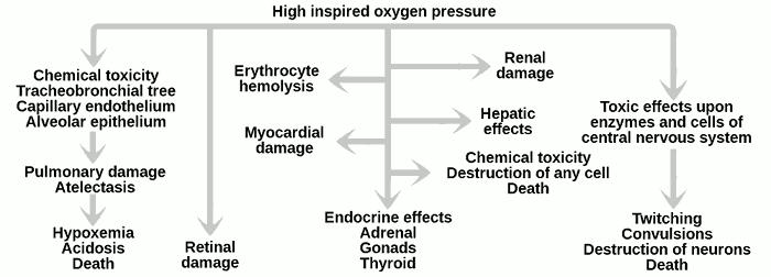 OXYGEN Fun Facts Oxygen in high
