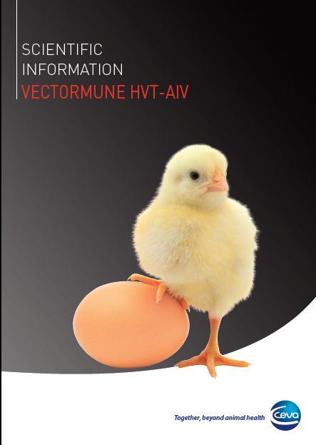 Efficacy of a rhvt-ai vector vaccine in broilers with passive immunity against HVT and AIV, against