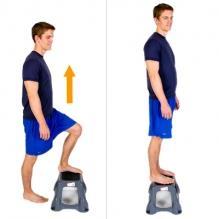 Step Ups Stand in front of a step with both feet on the floor with hands on a stable surface if needed.