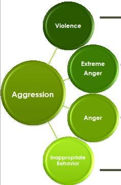 Understanding Aggressive Individuals Staff & Patient