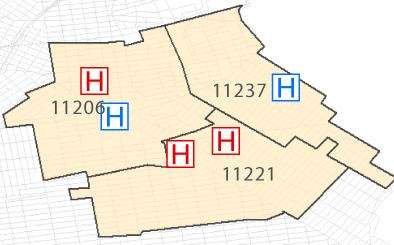Neighborhood Profiles 2015 : 11206, 11221, 11237 Population: 210,468 TBHC Service Areas: Primary service area: 11206 and 11221 Neighborhood at a glance Age Group 85 yrs and older 80-84 yrs 546 478