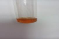 Ferric chloride test To the small quantity of alcoholic solution of extract, few drops of neutral ferric chloride was added.