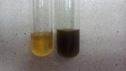 A small amount of the extract was hydrolyzed with hydrochloric acid for one hour on a water bath and hydrolysate was subjected to; Table 6: Test for Glycosides 15 Borntrager s test