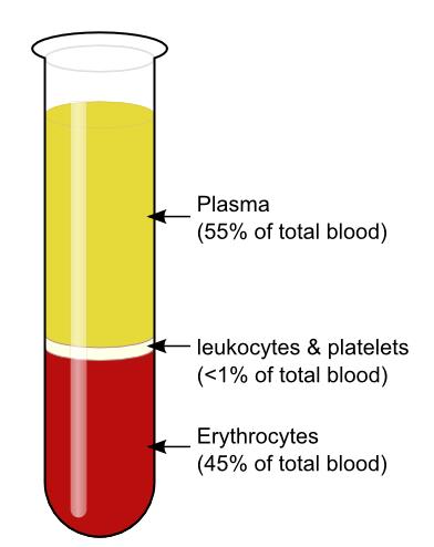V. Blood Constituents: Through centrifugation, and after adding ammonium oxalate (anti-coagulatent), blood constituents are separated.