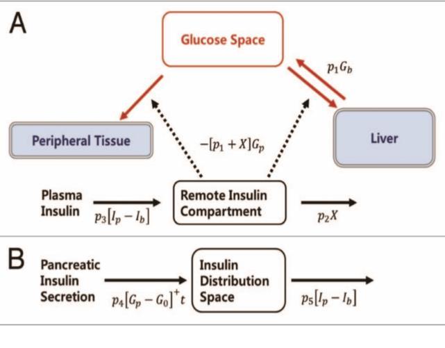Many variations of the GTT have been devised over the years for various purposes, with different standard doses of glucose, different routes of administration, different intervals and durations of