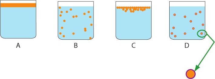 Lipid oxidation can occur rapidly in oil-in-water emulsions due to the large surface area that they create which facilitates interactions between the lipids and water soluble prooxidants.