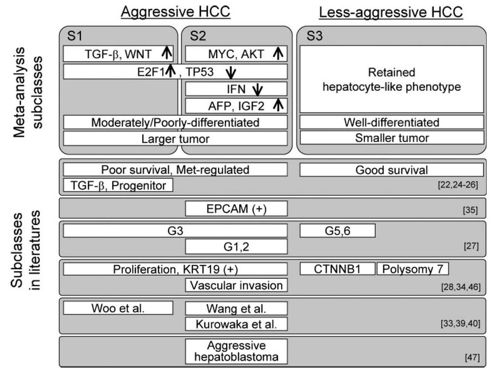 Metanalysis of gene expression profile of HCC: 8 dataset.