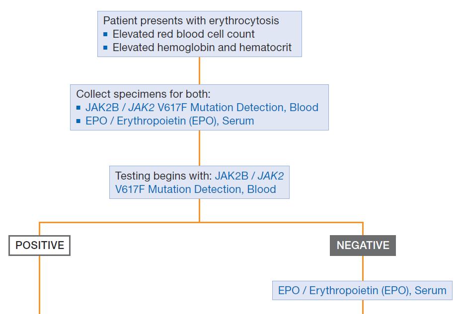 Erythrocytosis Evaluation