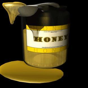 Honey Wound treatment for many centuries Mentioned in