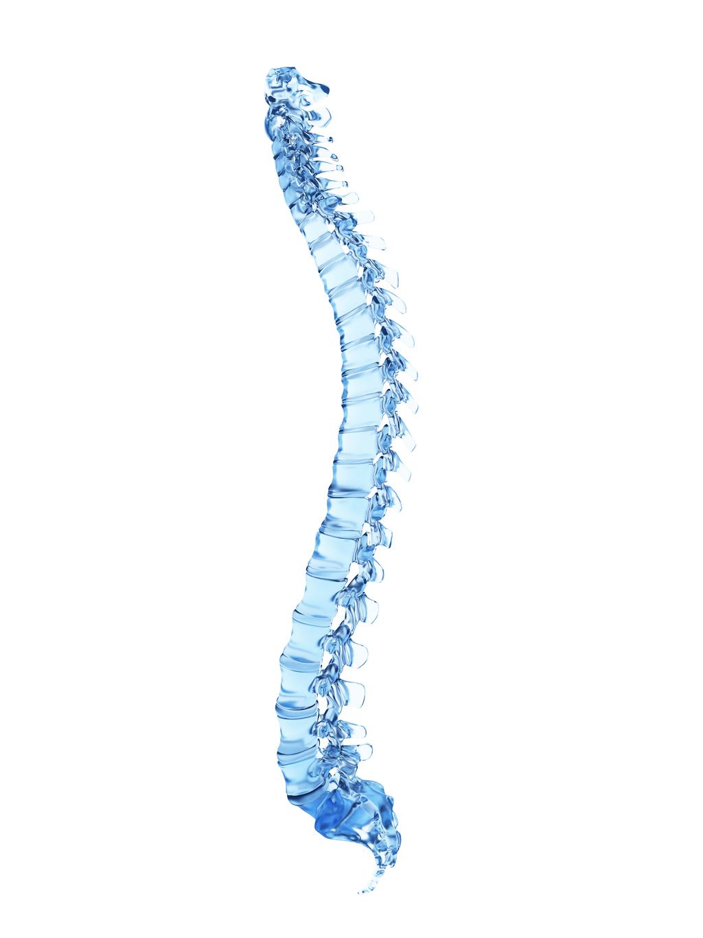 Product Pipeline in Spine Disorders Current diagnostic methods are invasive and expensive Need for diagnostic to determine course of care for better outcomes Need for payers to better determine the