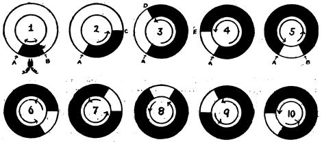 Figure 2.3 Lewis Illustration of Circus Movement in a Ring of Muscle 3 This figure shows a step by step process of the start and maintenance of circus movement in muscle rings.