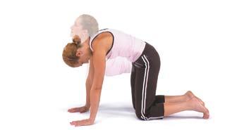 8 Warm-Up Floor warm-up stretches Spinal Roll Get on all